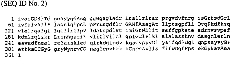 Method for producing phytosterol / phytostanol phospholipid esters