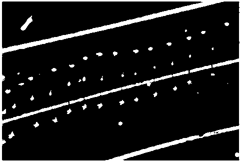 Ultrasonic welding method and photovoltaic module welded by the method