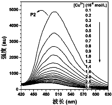 Macrocyclic polyamine-based polyacetylene fluorescent sensor and preparation method thereof