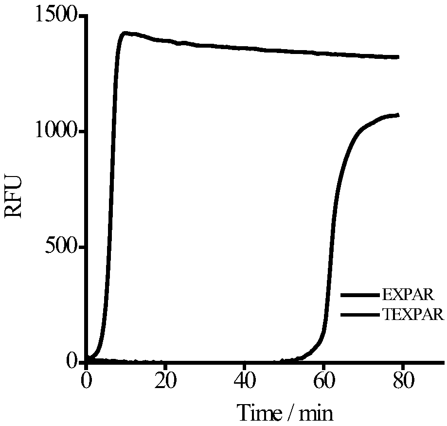 Method for low-sequence-dependence and high-order constant-temperature-index amplification testing of microRNA