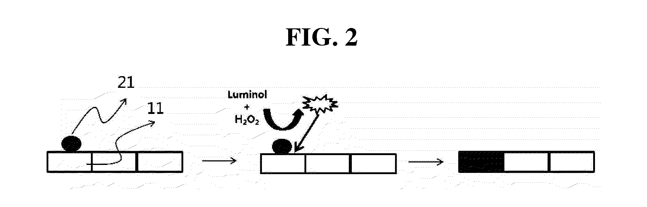 High sensitivity biosensor using pixel analysis of CMOS image sensor