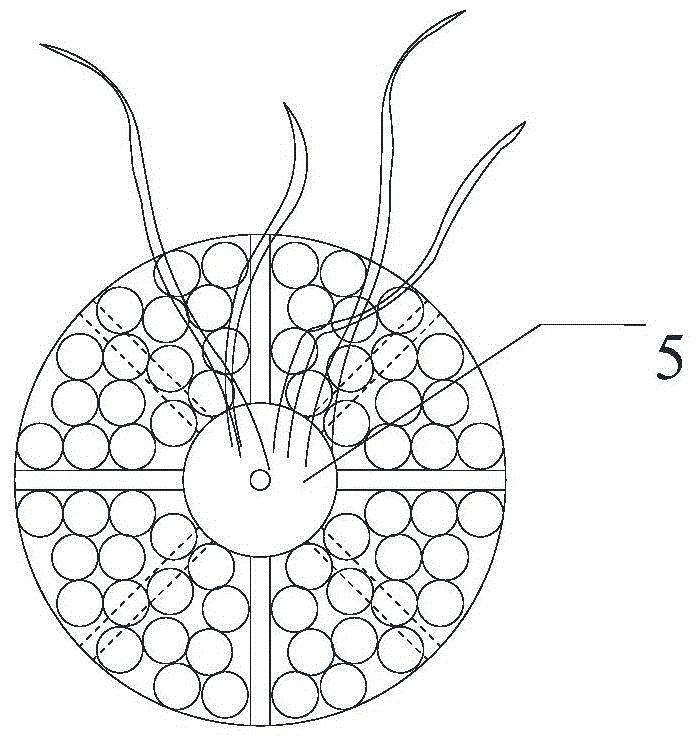 Construction method of vegetation-form ecological shallow