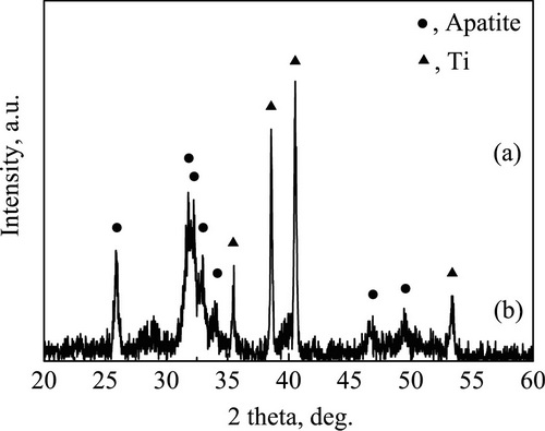 Preparation method of carbonate hydroxyapatite/carbon nano tube composite coating material