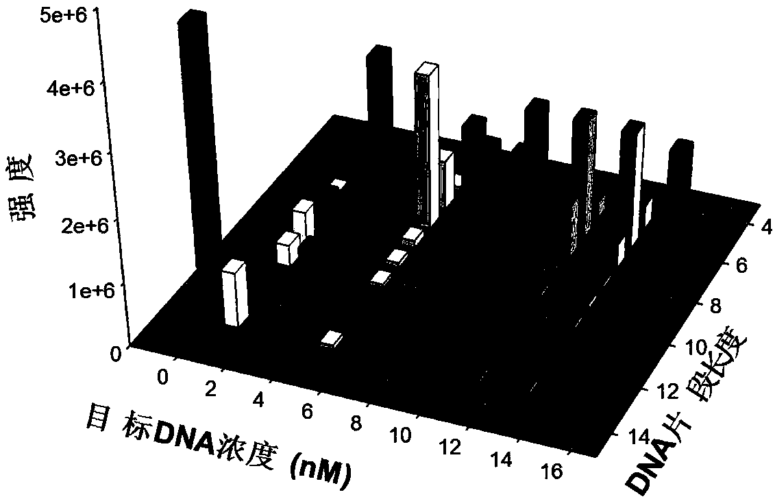 Exonuclease III aided target cycle amplification based unmarked DNA mass spectrum quantitative analysis method