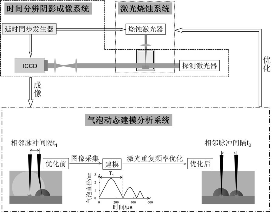 Processing method for cutting silicon wafer by utilizing time-resolved shadow imaging technology to assist laser liquid phase ablation