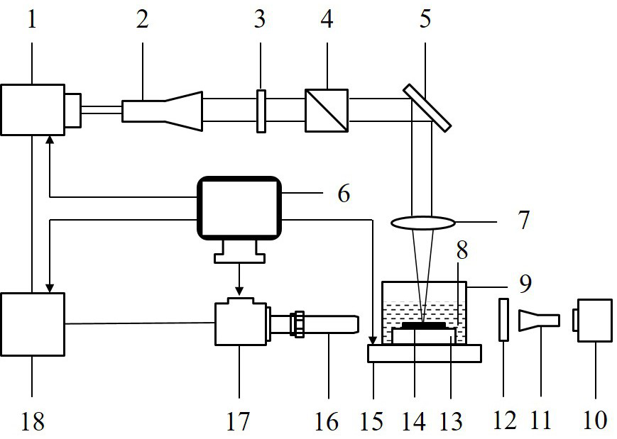 Processing method for cutting silicon wafer by utilizing time-resolved shadow imaging technology to assist laser liquid phase ablation