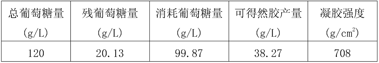 Method for fermenting and producing curdlan