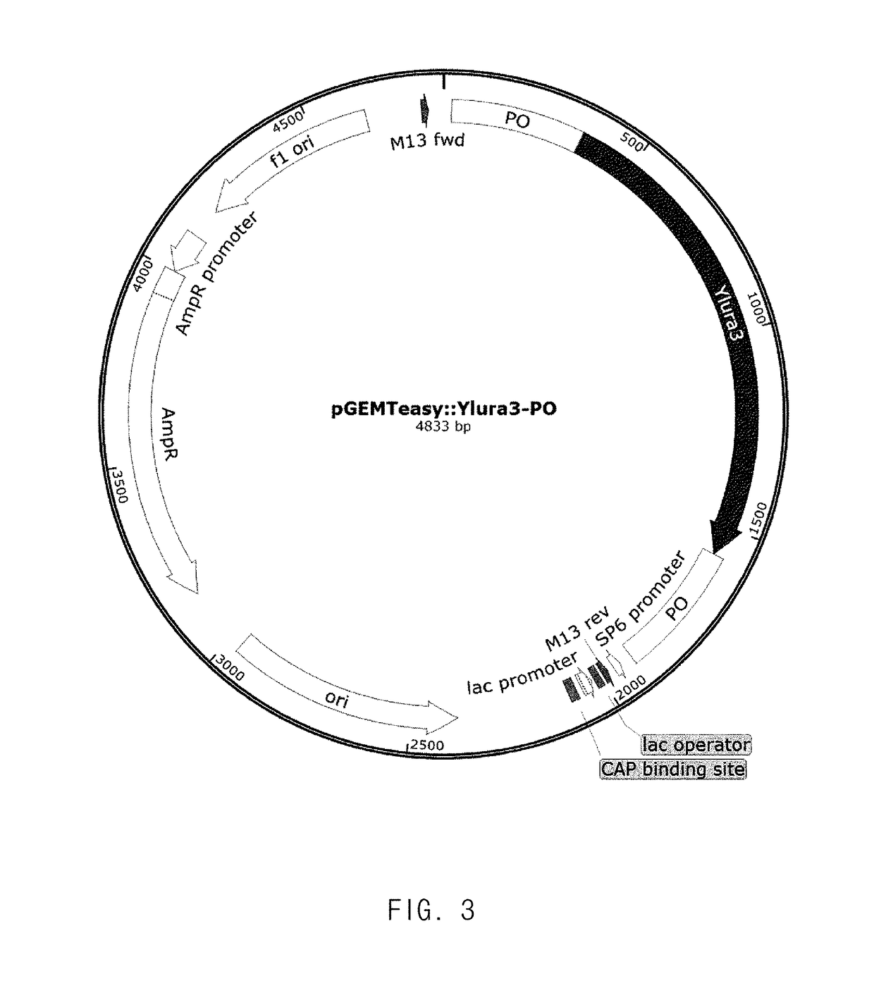 Method for producing heavy chain aminocarboxylic acid