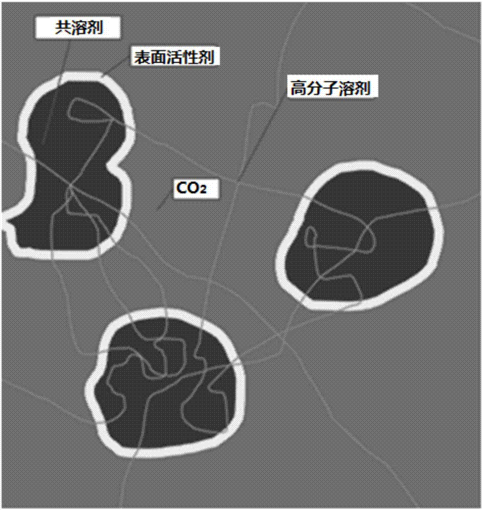 Carbon dioxide thickening method and system