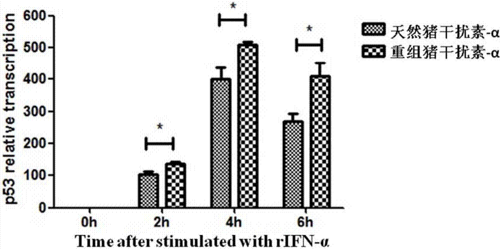 Method for improving antiviral activity of recombinant swine interferon-alpha fusion protein