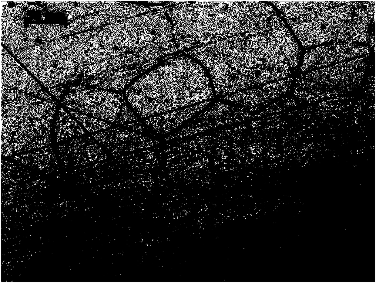 Carbon fiber reinforced alloy composite and preparation method thereof