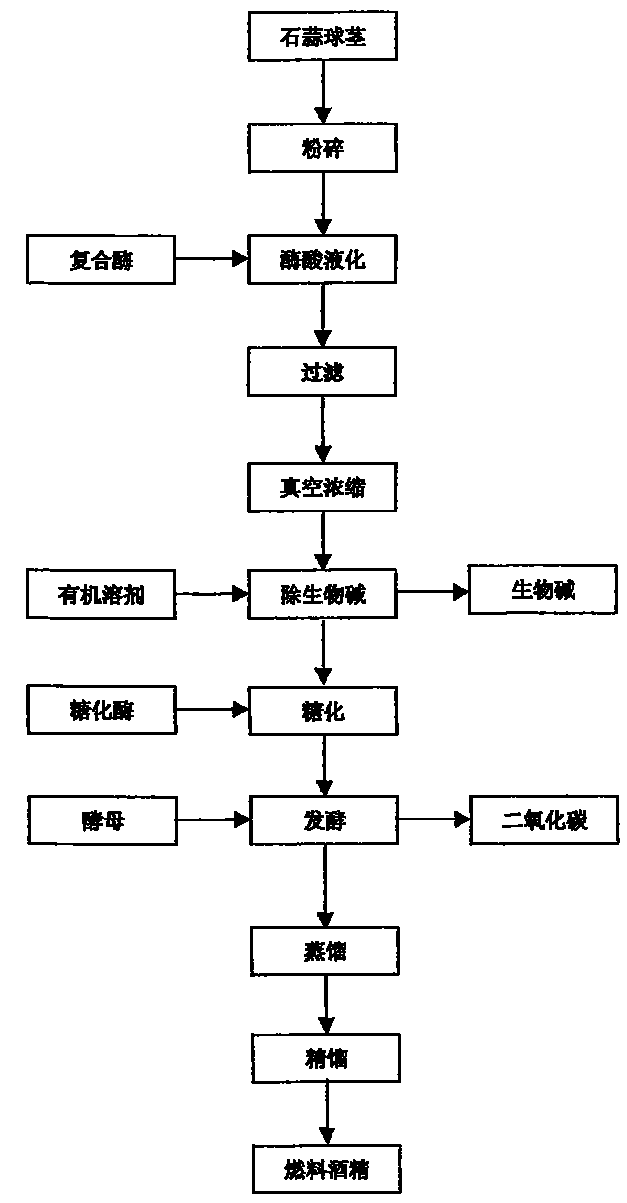 Method for producing fuel ethanol by using lycoris plants