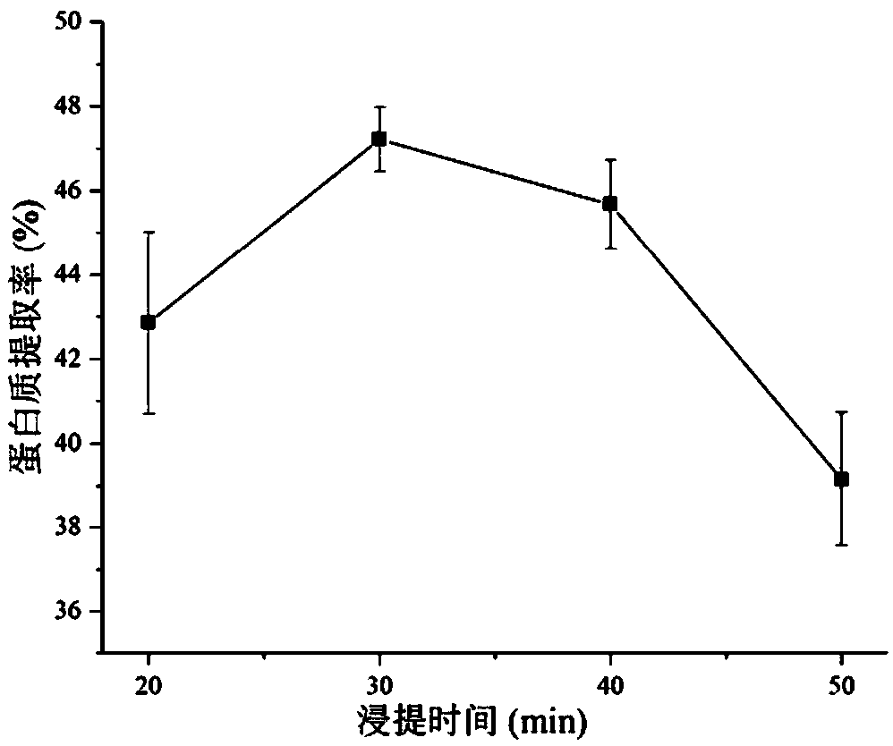 Extraction method and application of peanut leaf soluble protein