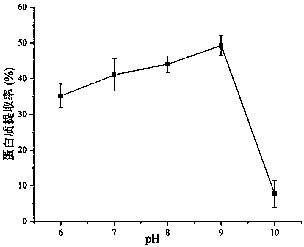 Extraction method and application of peanut leaf soluble protein