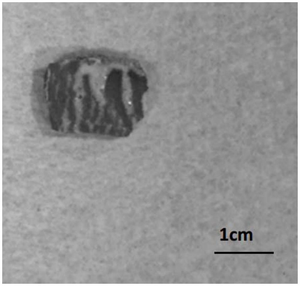 A laser in situ uranium-lead isotope dating method for ancient marine carbonate rocks