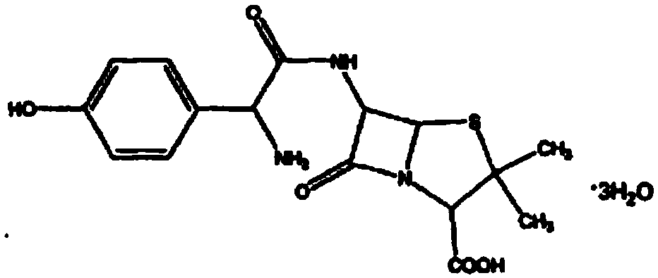 Method for synthetizing amoxicillin through enzymatic method