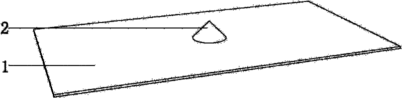 Rapid product remodeling method, mold and rapid product molding method