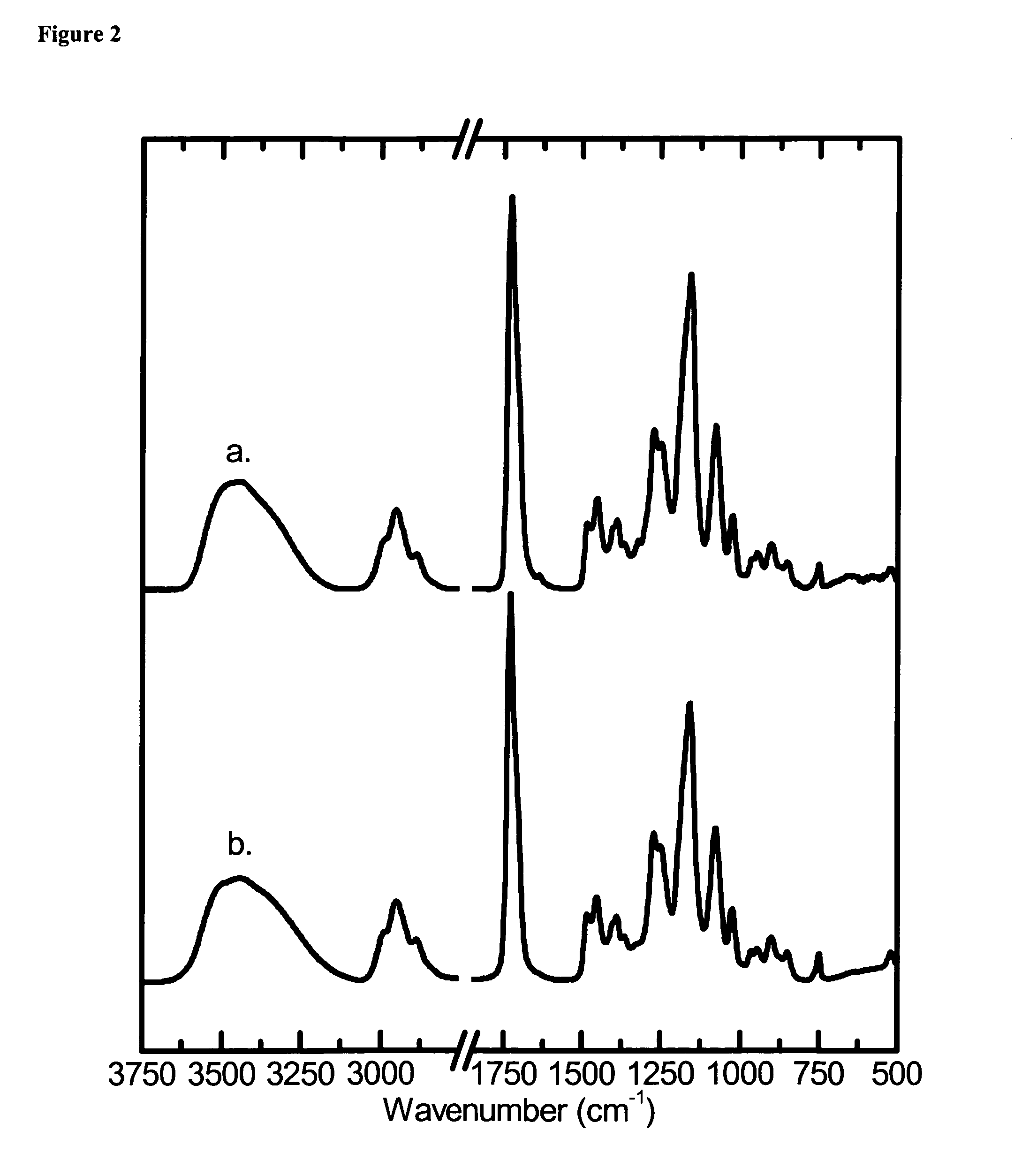 Chemical vapor deposition of hydrogel films