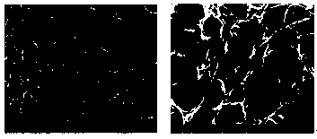 Scar/adhesion barrier film and preparation method and application thereof