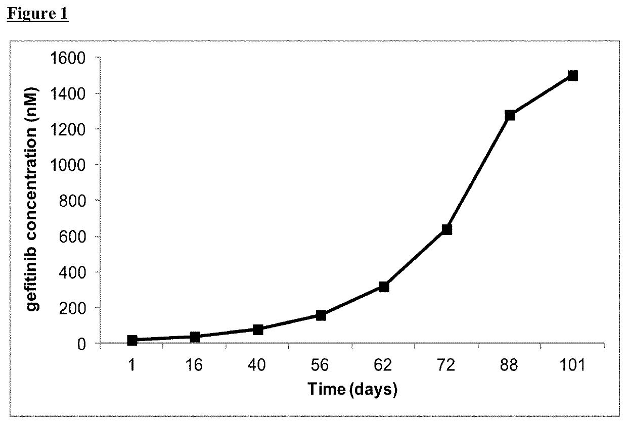 Combination of EGFR Inhibitor and MEK Inhibitor for use in the treatment of NRAS mutated cancer