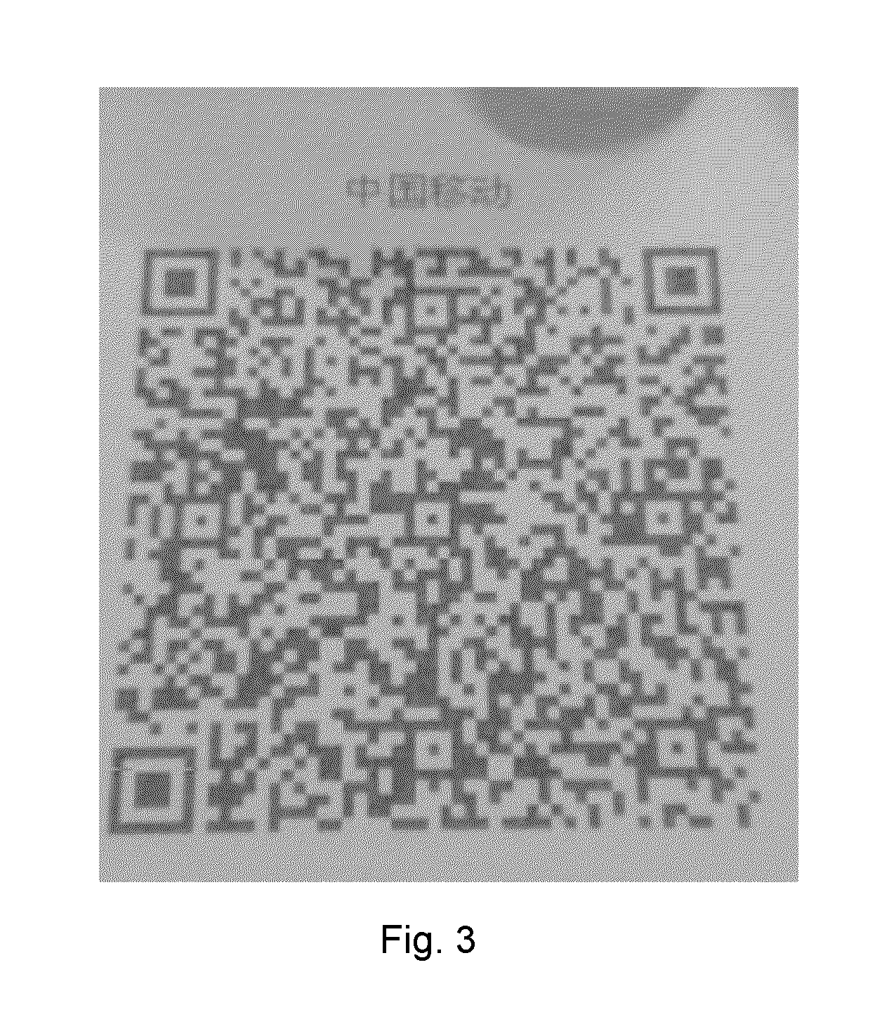 Method and system for binarization of two dimensional code image