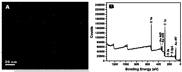 A kind of preparation method and application of thiol-modified gold nanocluster