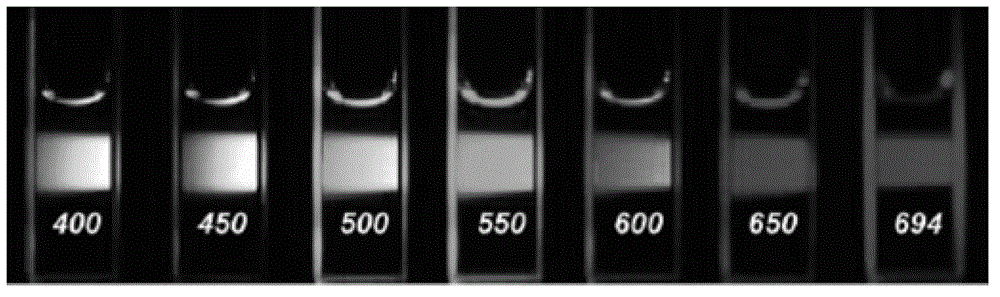 A kind of preparation method of carbon quantum dot test strip for detecting p24 antigen