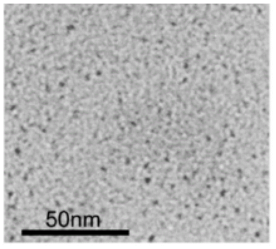 A kind of preparation method of carbon quantum dot test strip for detecting p24 antigen