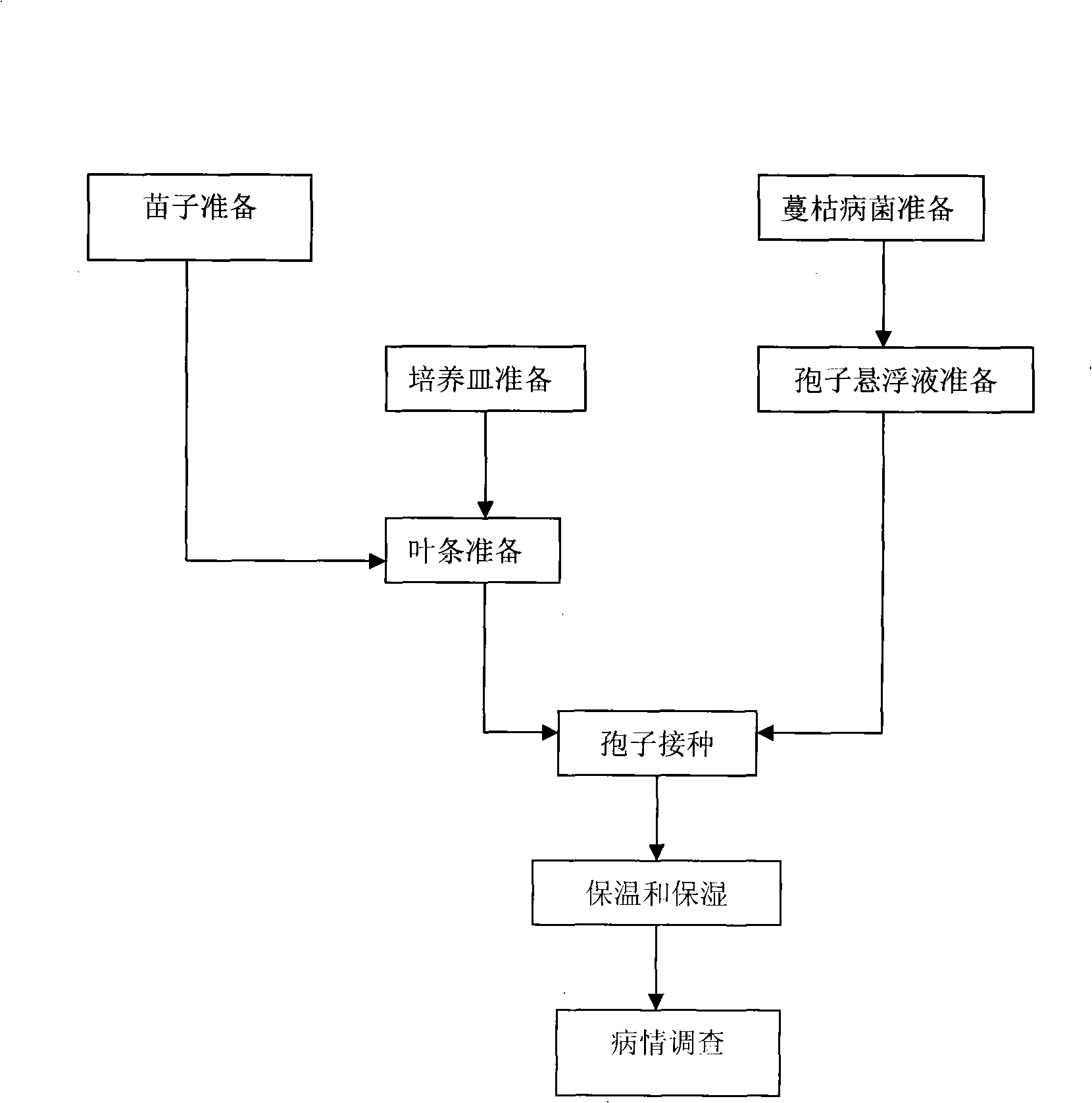 Method for rapidly identifying resistance of watermelon and muskmelonvarieties gummy stem blight