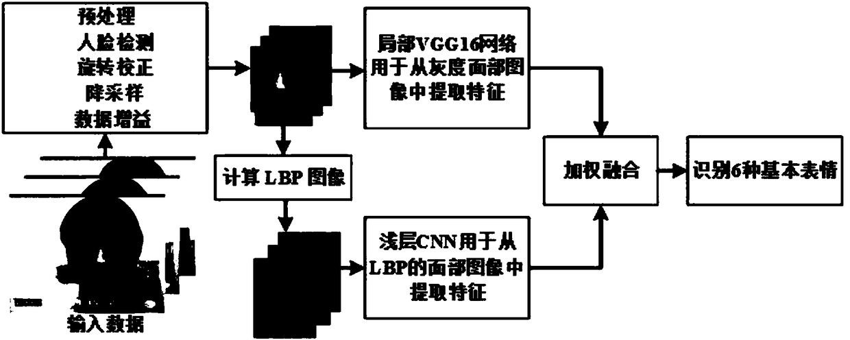 Binary-channel convolutional neural network for facial expression recognition