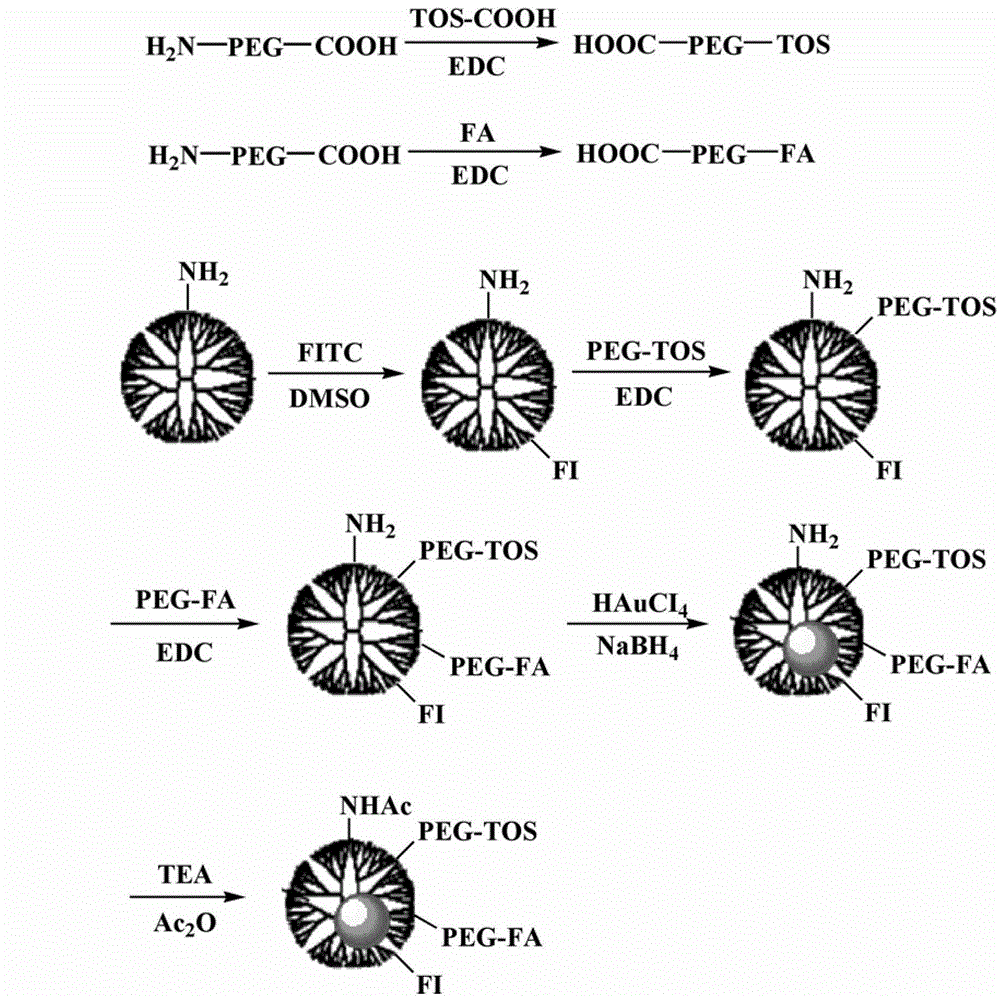 A preparation method of alpha-tos-loaded dendrimer-wrapped gold nanoparticles