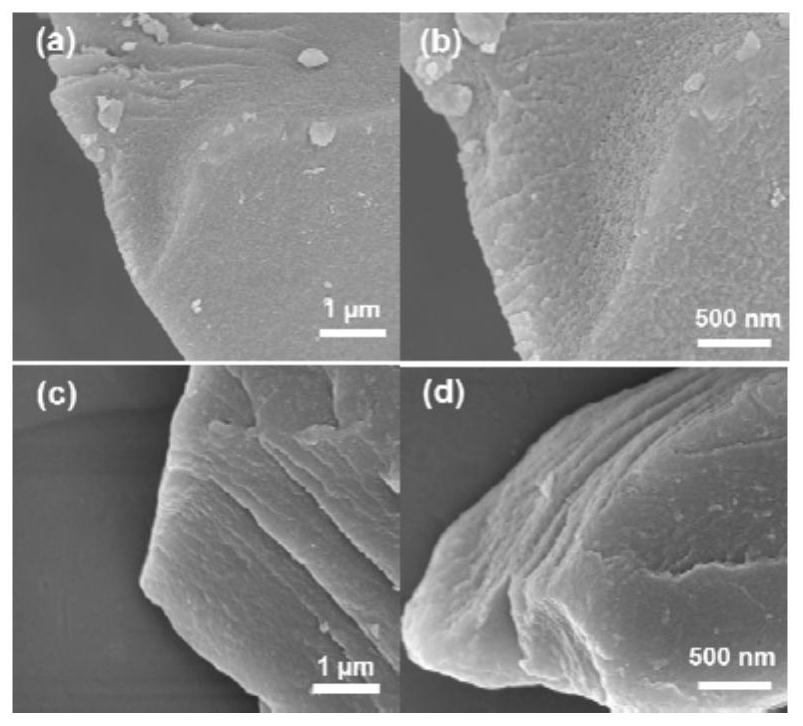 A kind of self-supporting lithium-sulfur positive electrode material of network polymer containing N and O atoms and preparation method thereof