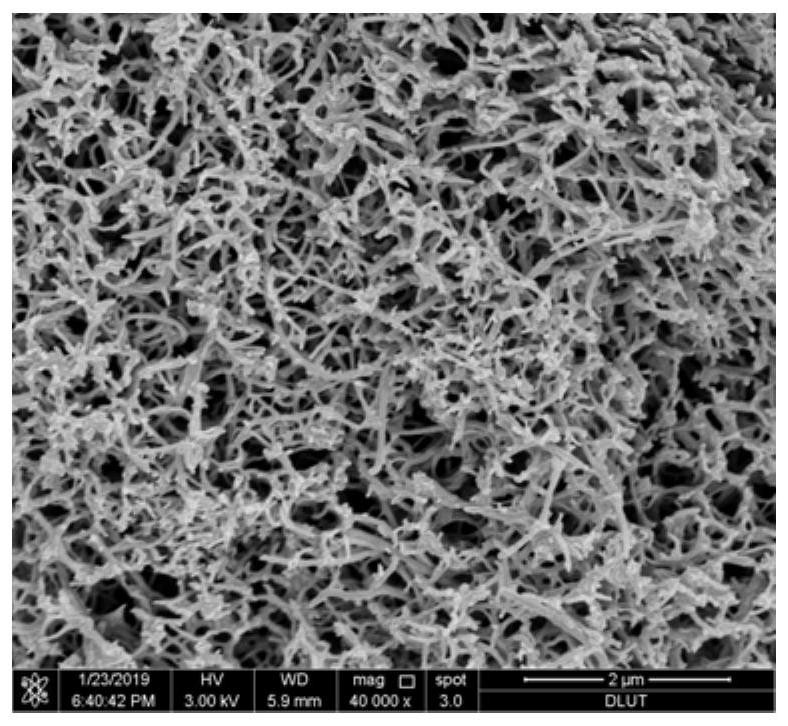 A kind of preparation method of lithium metal battery negative electrode side interlayer material that prevents lithium dendrite