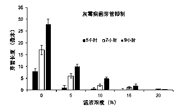 A bacteriostatic fusion Weissella mp4 bacterial strain and its application