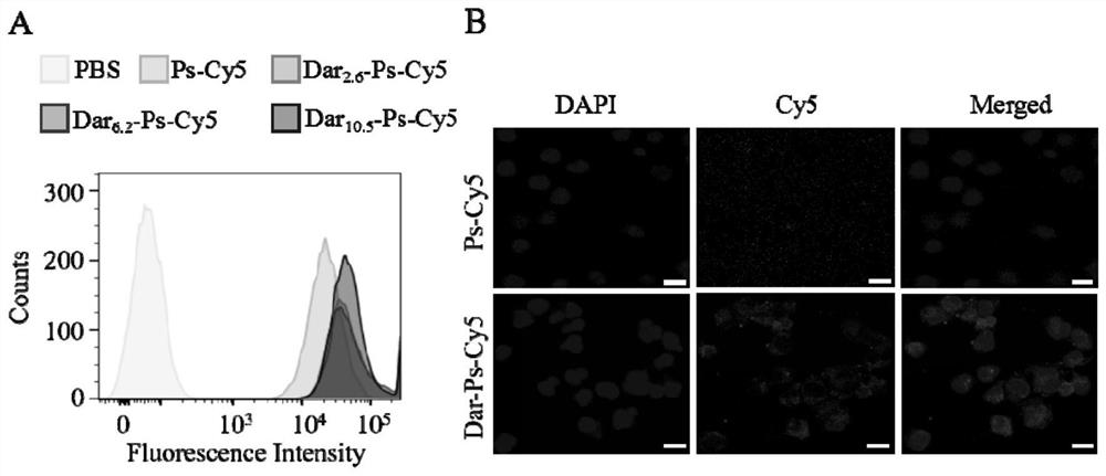 Immune vesicle maytansine conjugate as well as preparation method and application thereof