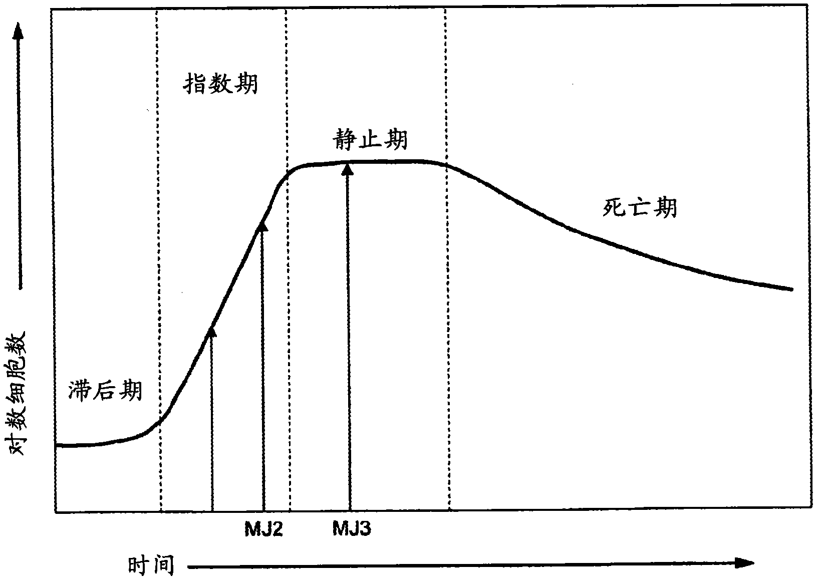 Probiotic derived non-viable material for allergy prevention and treatment