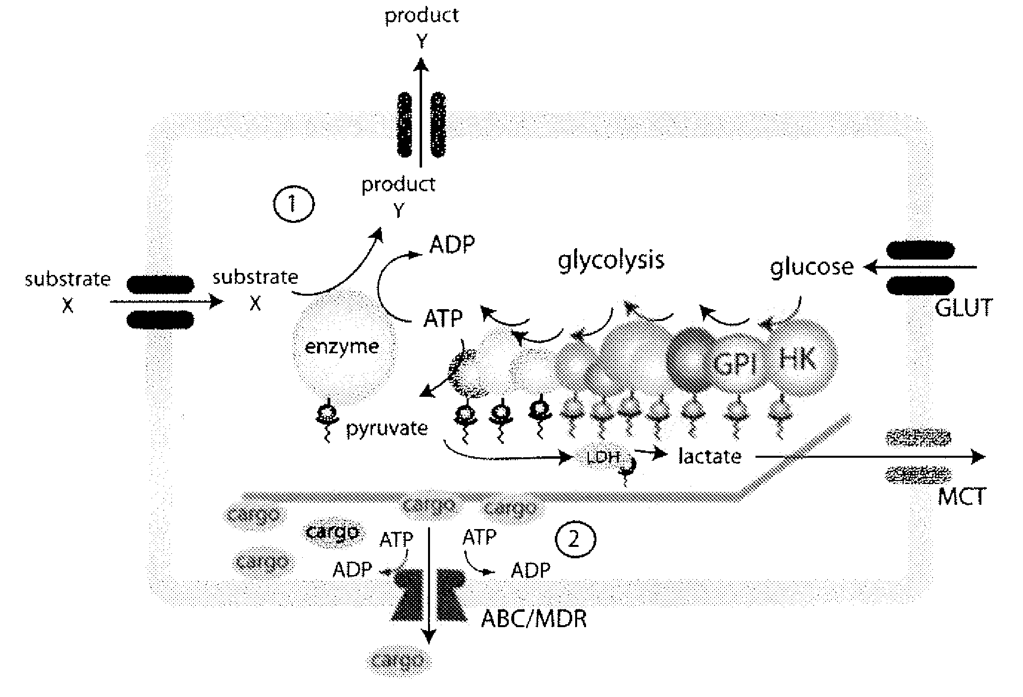 System for production of adenosine triphosphate