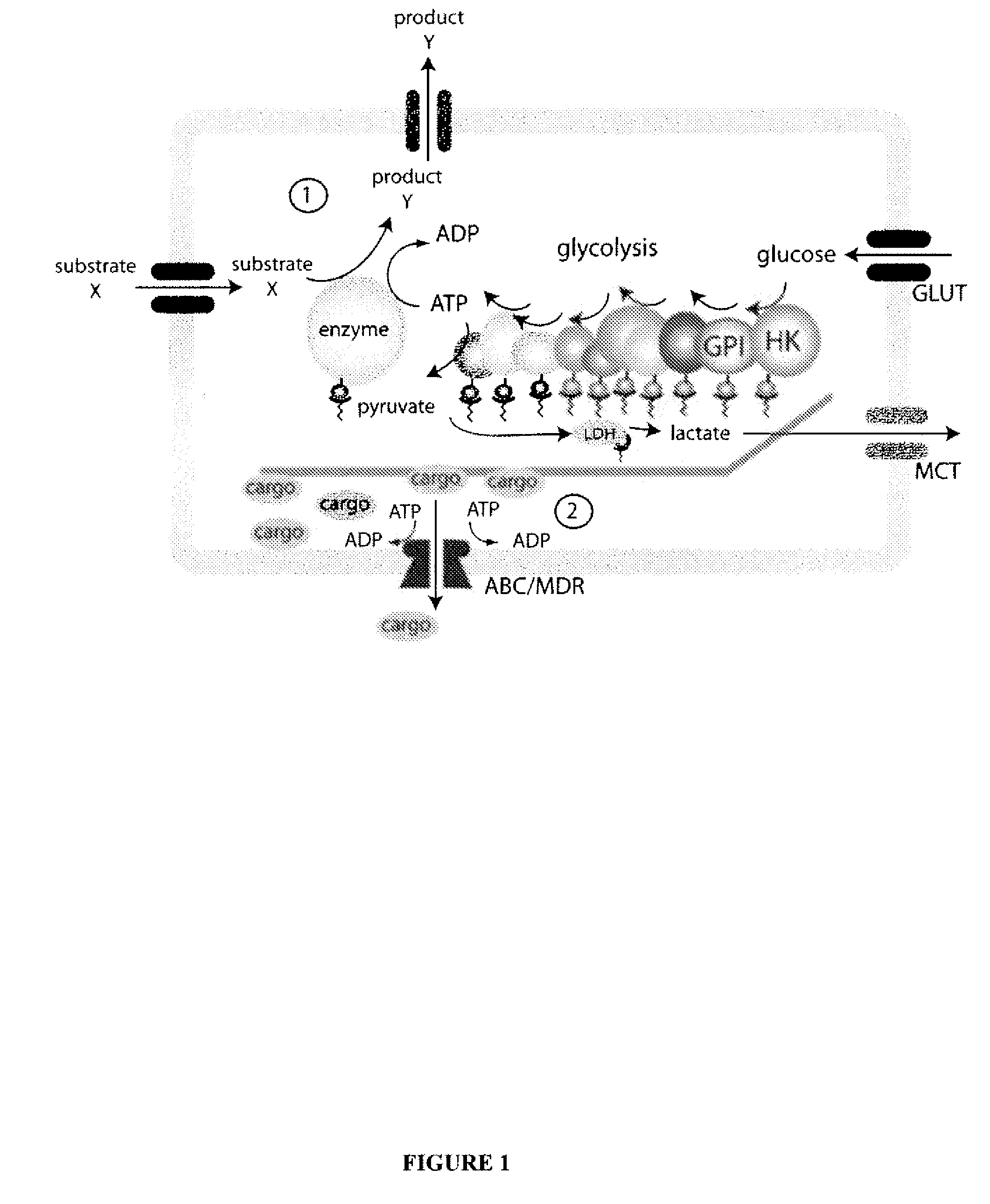 System for production of adenosine triphosphate