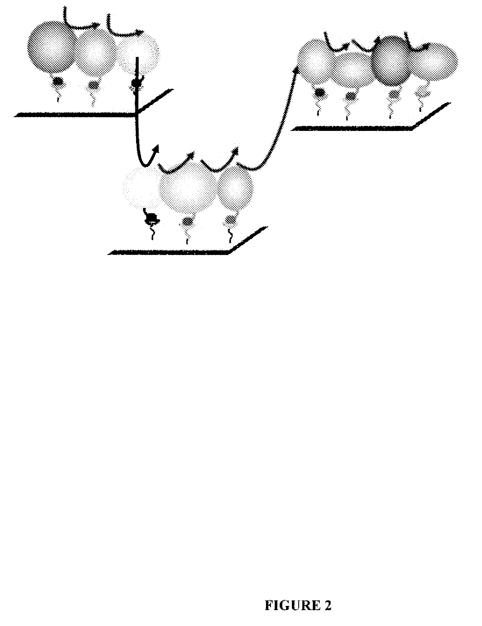 System for production of adenosine triphosphate