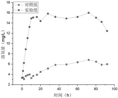 Silica nanoreactor capable of releasing oxygen and active oxygen in pH response and preparation method thereof