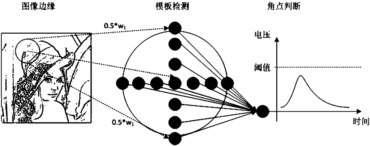 A Spiking-based Image Corner Detection Method