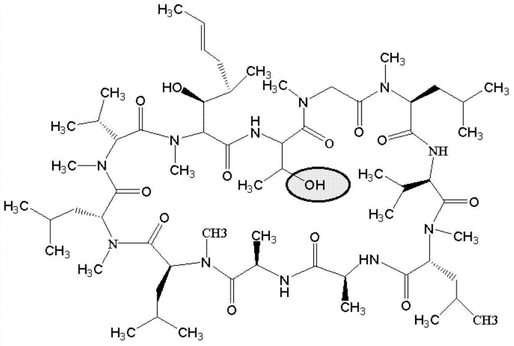 Immunoassay method and kit for detecting concentration of cyclosporine A