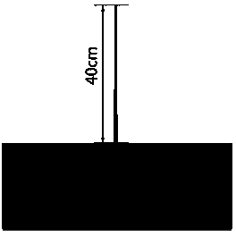 Special tree shape thin cylinder-shaped culturing method for peach trees, apricot trees and plum trees of facilities