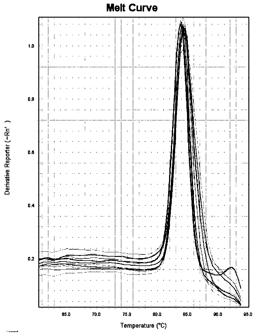 Microbial fermentation inoculant for accelerating wheat straw fermentation and preparation method thereof