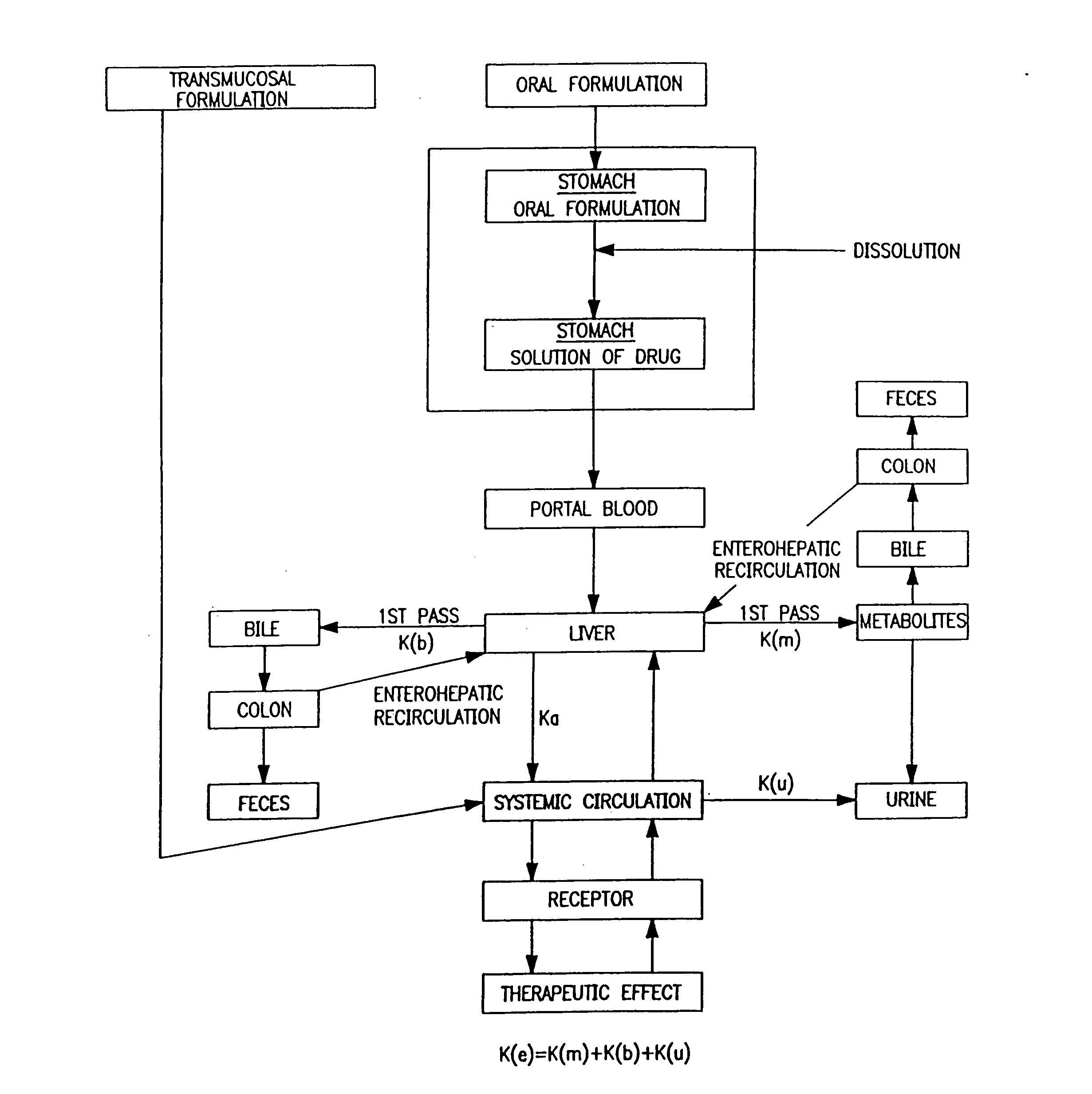 Buccal, polar and non-polar spray or capsule containing drugs for treating muscular and skeletal disorders