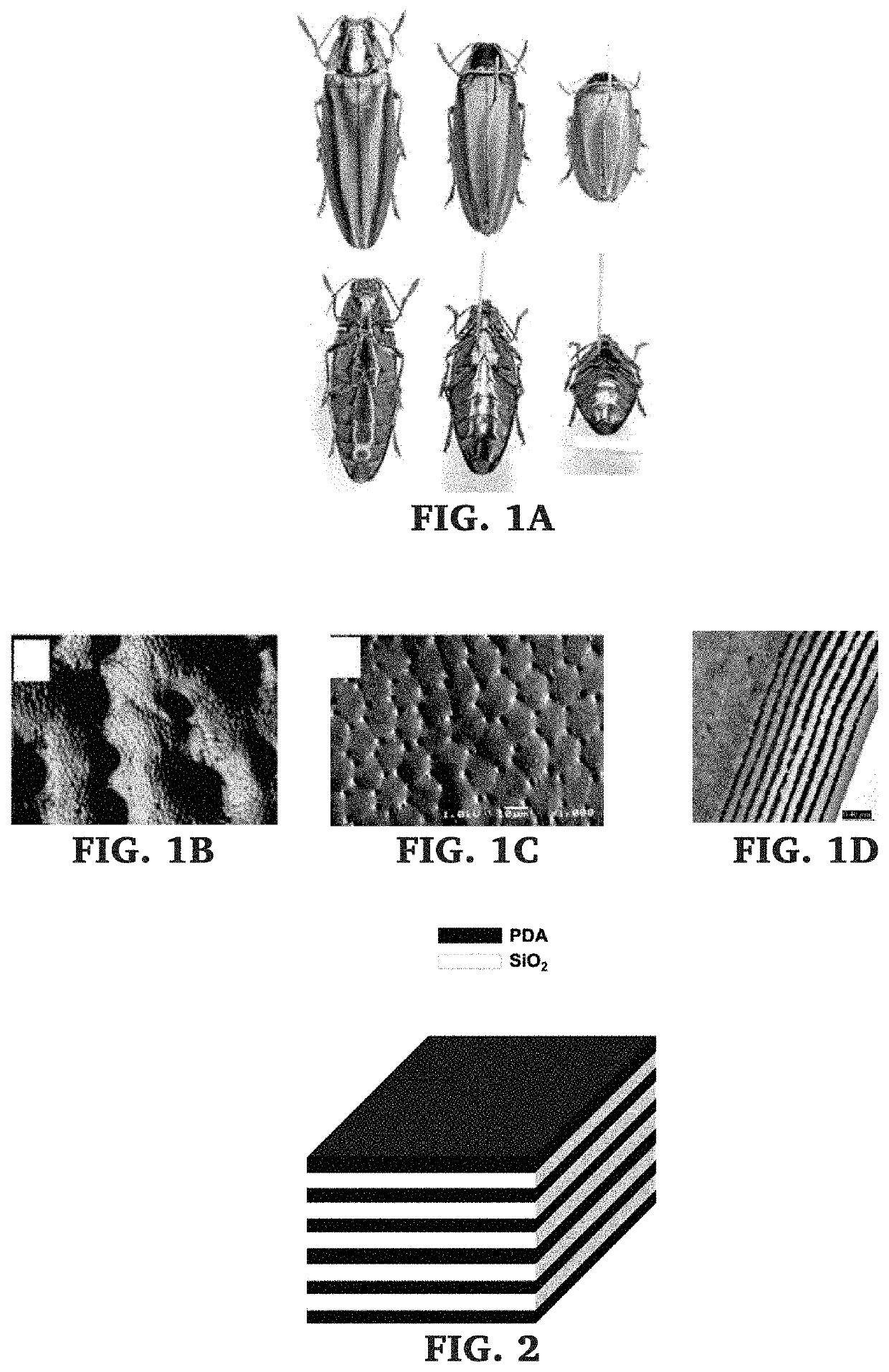 Uv-overprotecting iridescent colored contact lenses