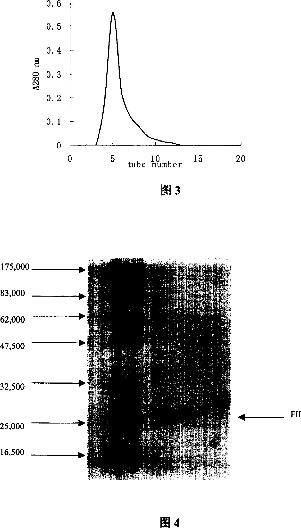 Long-noded pit viper poison dissolving fiber protein No.2 gene and use thereof