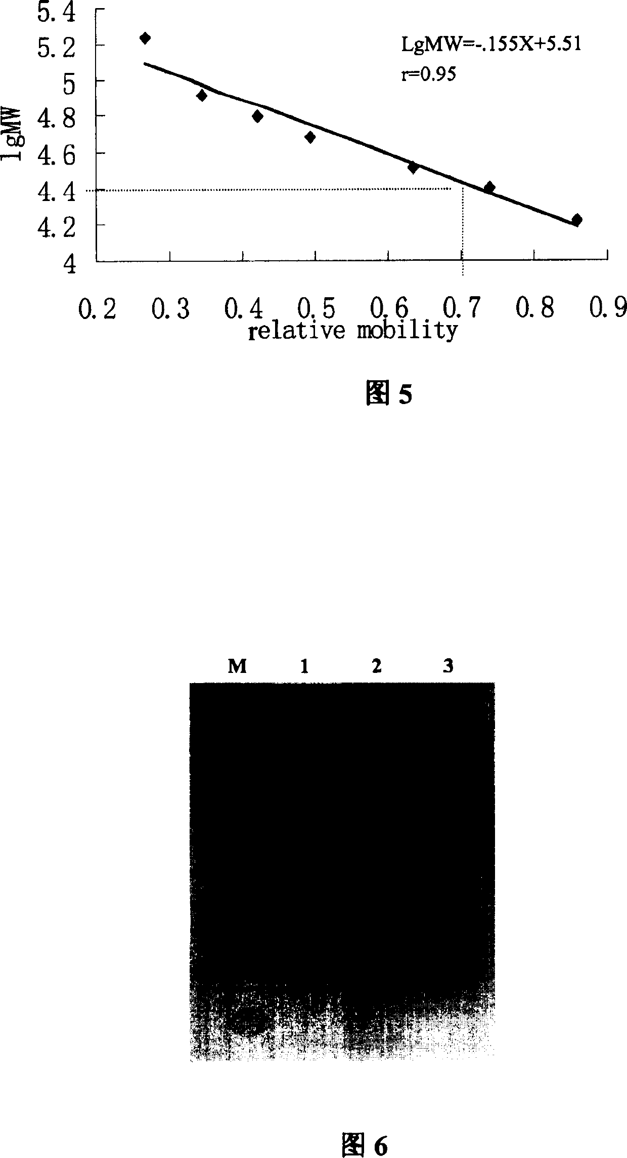 Long-noded pit viper poison dissolving fiber protein No.2 gene and use thereof