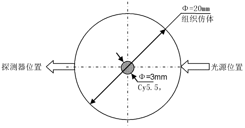 Photon counting-type dynamic diffusion fluorescence tomography method and device