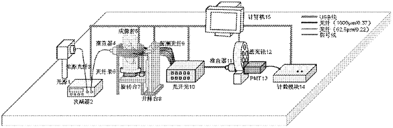 Photon counting-type dynamic diffusion fluorescence tomography method and device